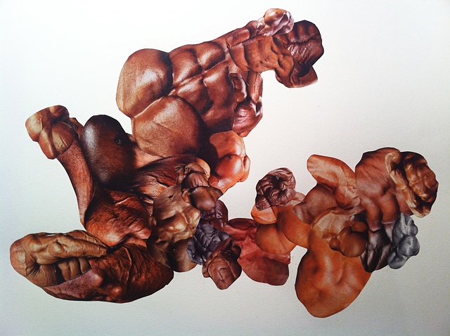 Muscle G