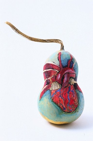 Heart Gourd