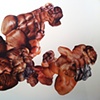 Muscle G