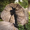 Black Spores I