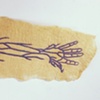Fiber