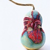 Heart Gourd