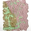 Paper Pulp Drawings