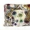 Mold 1