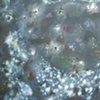 Paintings