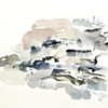Car Splash