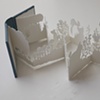 Artist books