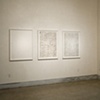 Debra Greene Solo Exhibition at LIMN Gallery 2009
