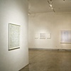 Debra Greene Solo Exhibition at LIMN Gallery 2009