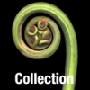 Available Artwork