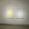Debra Greene Solo Exhibition at LIMN Gallery