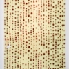 Debra Grene exhibition 2006
