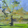 Little Black Walnut Tree
