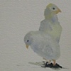 Clawhammer Farm Paintings