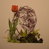 What Makes the Garden Grow? 1