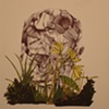 What Makes the Garden Grow? 2