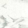2011