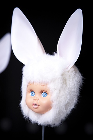 Sculpture of Taxidermy by Karley Feaver