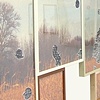 "Midwest Floaters" (installed) - Detail