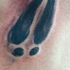deer trax in Kendallville, IN @ Sacred Skin