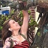 Venice Beachtree-man