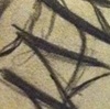 Sketch for Dan