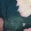 in progress
