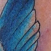walk-in bluebird