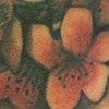 Blossoming