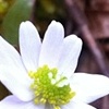 a moment of resilience in the march cold