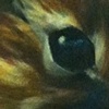 In-Progress Watership Down werk in Appleton WI @ The Body Shop