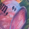 primroses