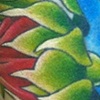 meleesa's arm