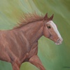 Holly's Gracie