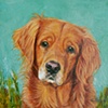 Jake