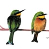African Bee Eaters