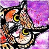 perplexed owl