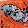 kitty