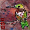 sitting hummingbird