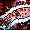 squid