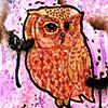 purple owl