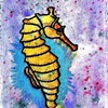 sea horse
