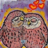 owl love