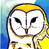 barn owl