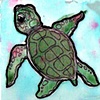 baby sea turtle