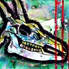 deer skull