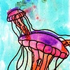 jelly group