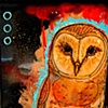 space owl