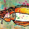 cuttlefish