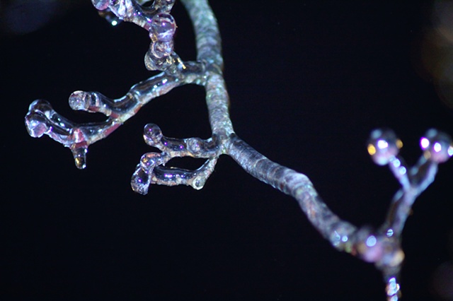 Frost